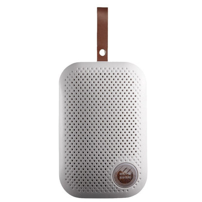Portable Dehumidifier