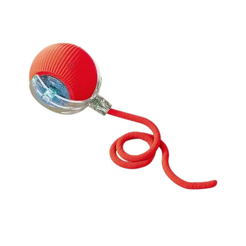 Electric pet toy
