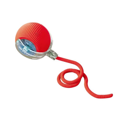 Electric pet toy