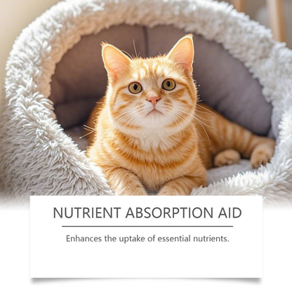 Cat Probiotic Supplement Drops