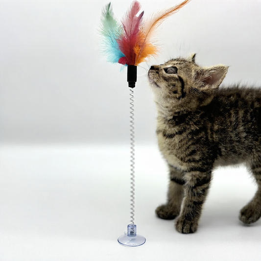 Spring Suction Cat Toy with Feather and Bell
