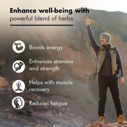 Shilajit Gummies