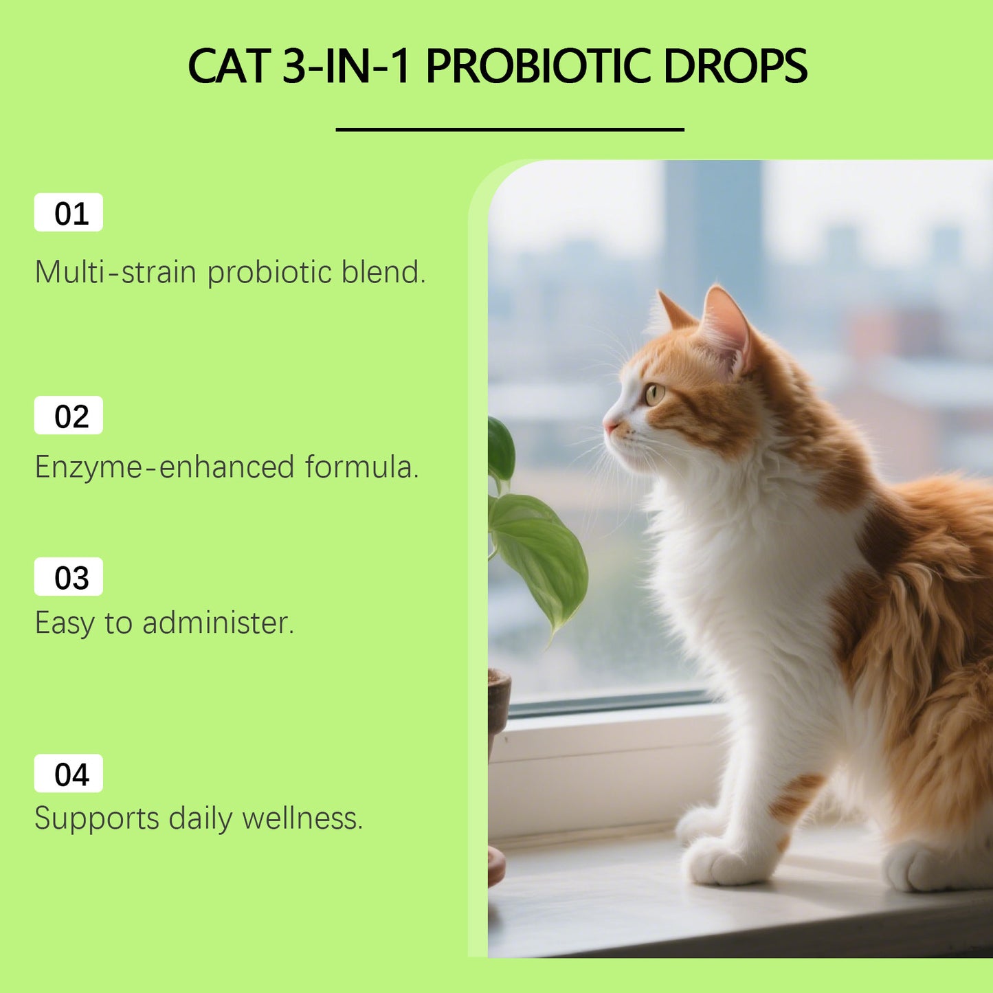 Cat Probiotic Supplement Drops