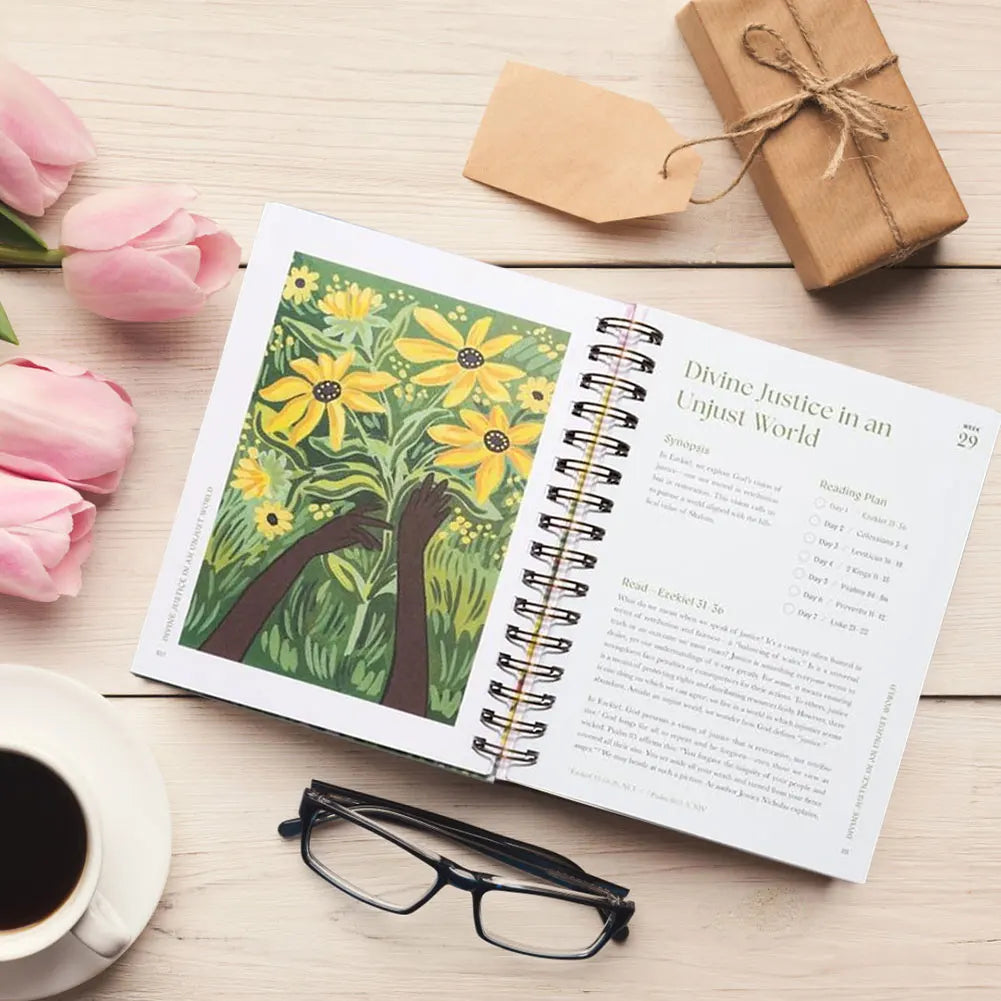 A Beautiful Year in the Bible: a 52 Weeks Bible Study for Women Bible Study Guide with Suggested Reading Biblical Work Paperbook
