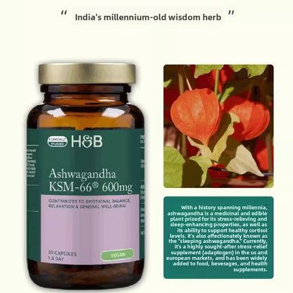 Ashwagandha Supplement with L-Theanine Capsules