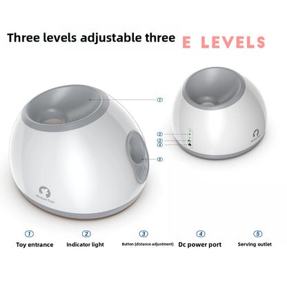 Pet dog toy ball machine