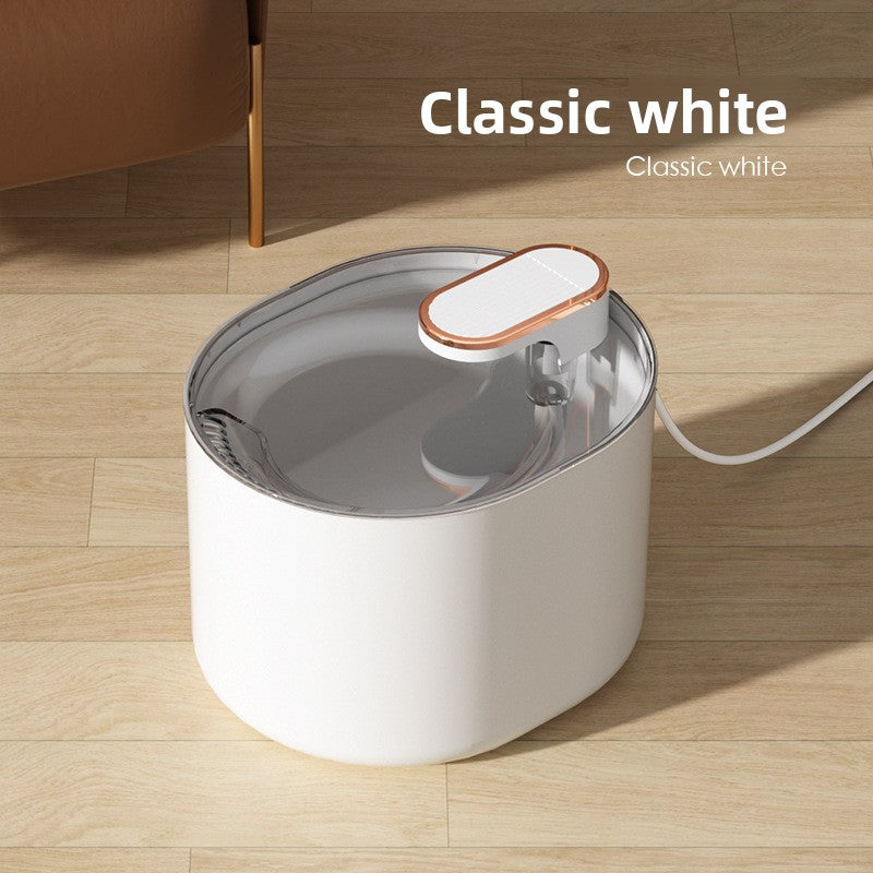 Pet water dispenser