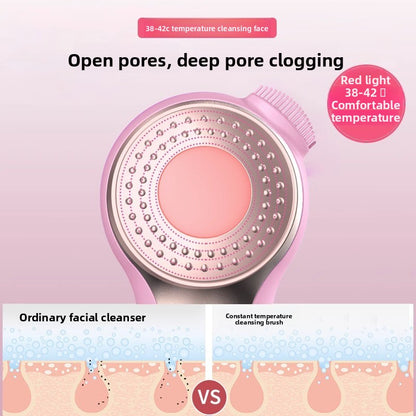 facial cleansing device