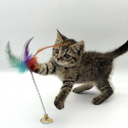 Spring Suction Cat Toy with Feather and Bell
