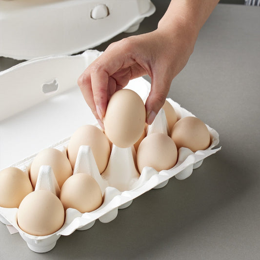 Pulp Egg Tray