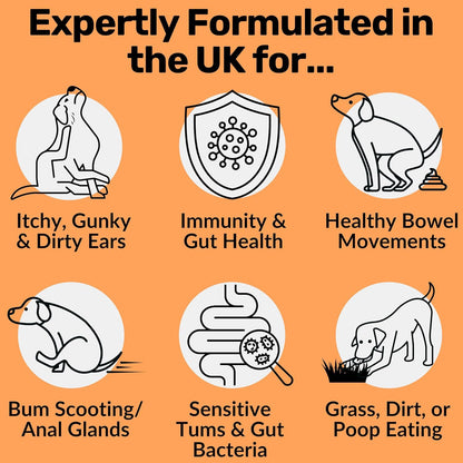 Dog Digestive Health Chewable Tablets