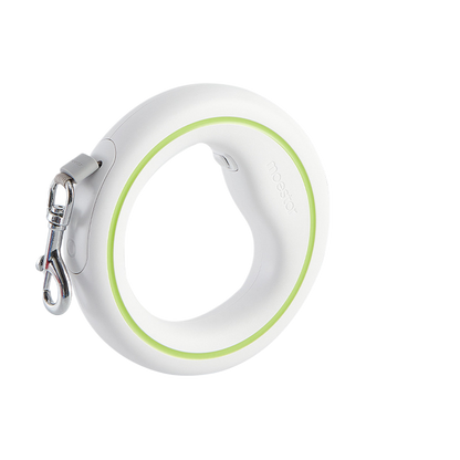 Pet Leash