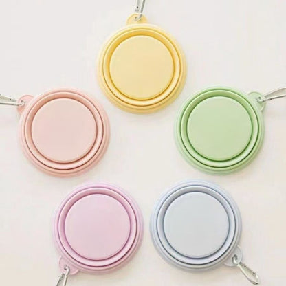 Pet Folding Bowl