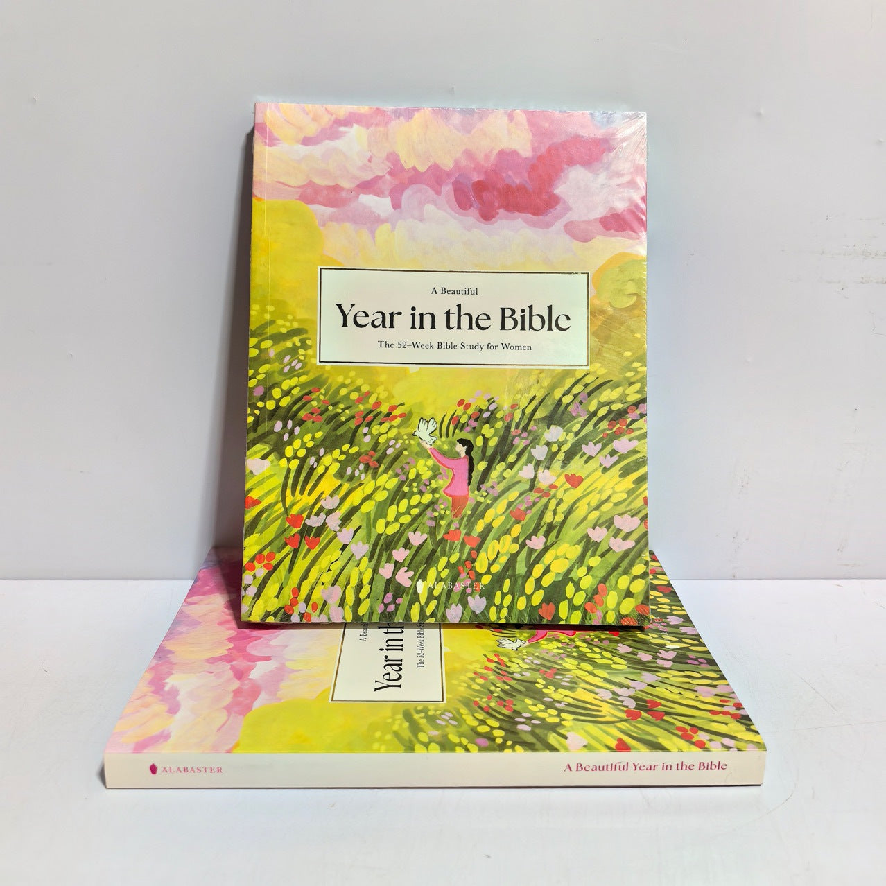 Study the Holy Word in English