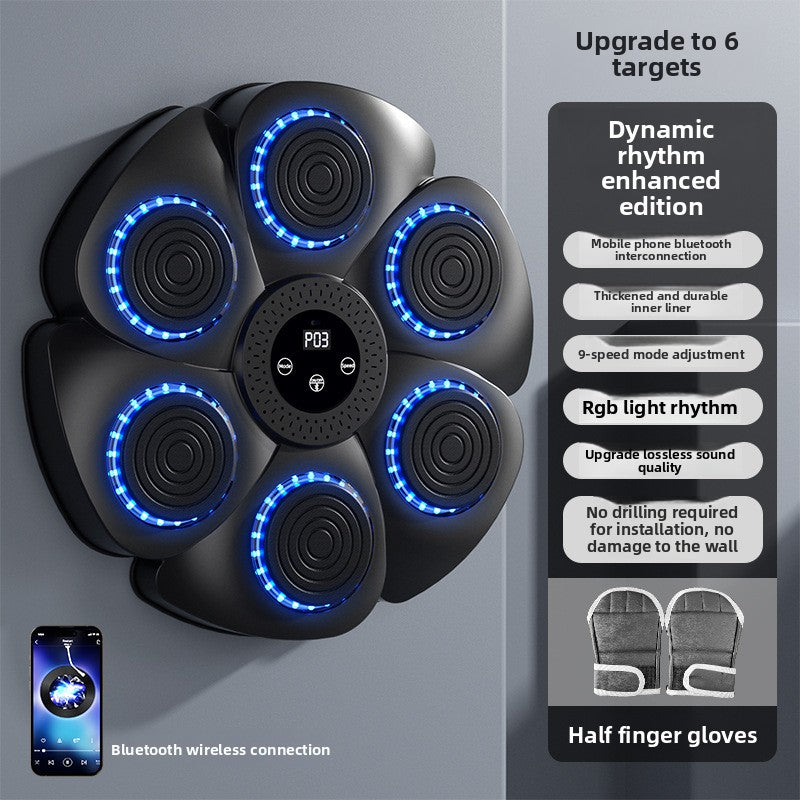 Exercise and fitness boxing training equipment