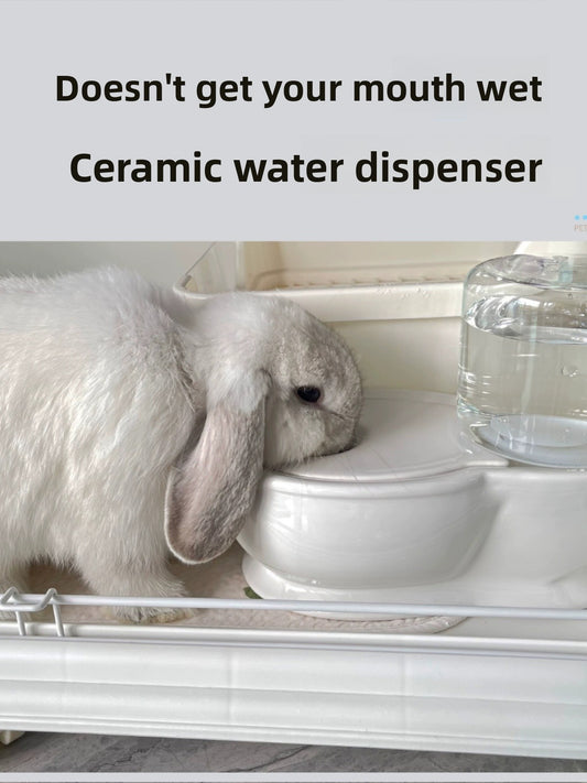 Automatic water bowl