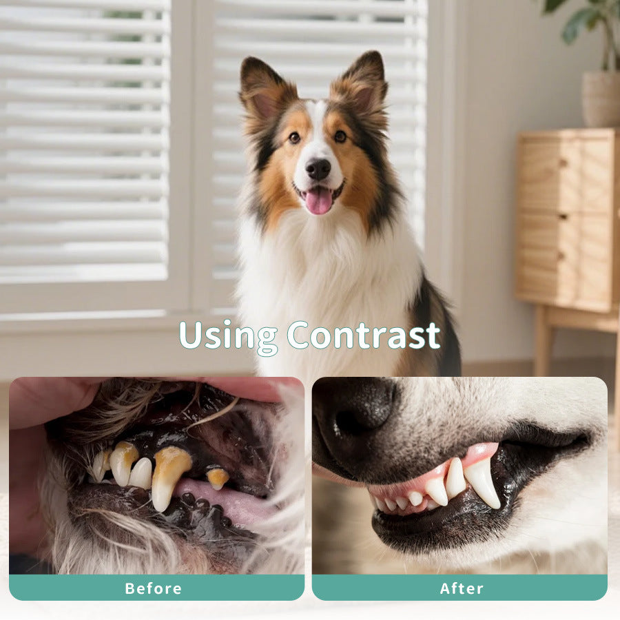Pet Oral Care agent