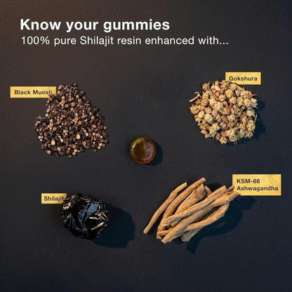 Shilajit Dietary Supplement Gummies