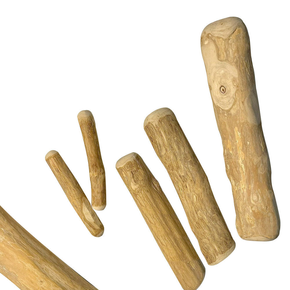 Dog chew toy for relieving boredom