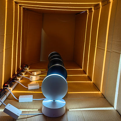 Rotatable LED Wall Lamp with Multiple Color Temperatures