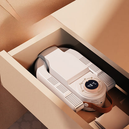 Intelligent shoe dryer