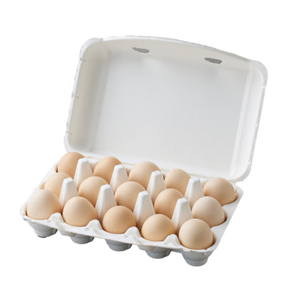 Pulp Egg Tray