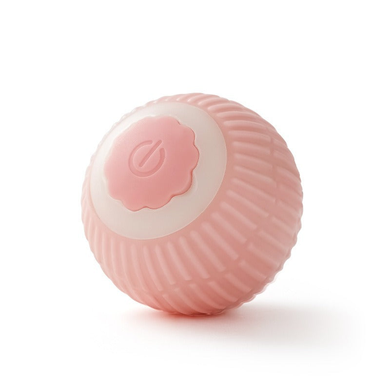 pet toy ball