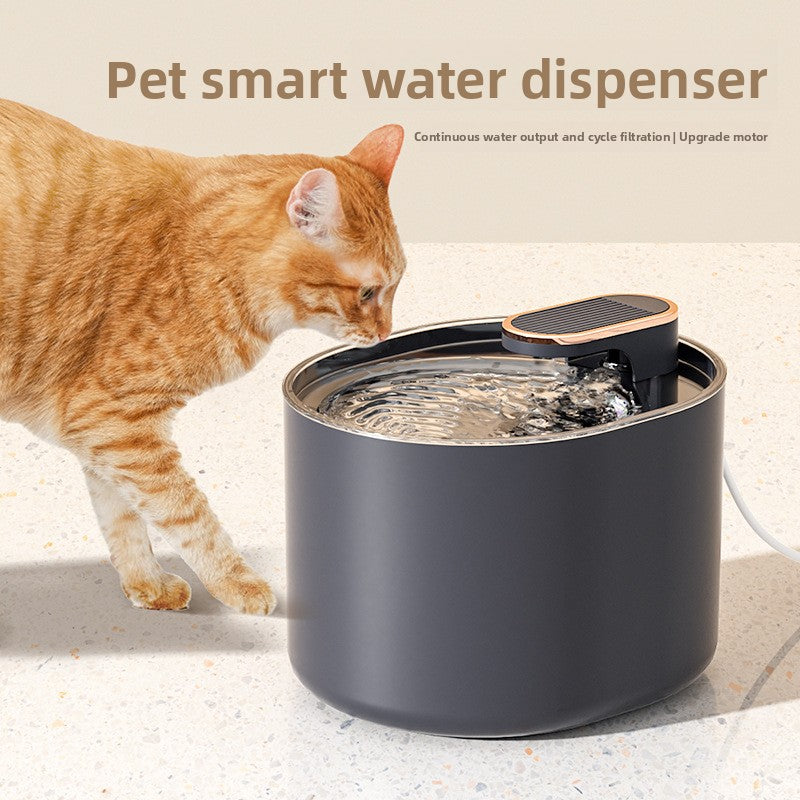 Pet water dispenser