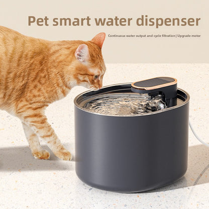 Pet water dispenser