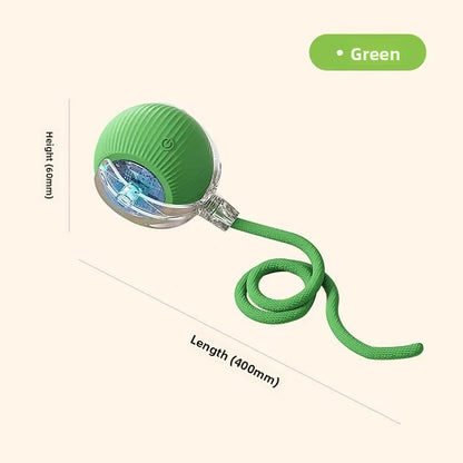 Electric pet toy
