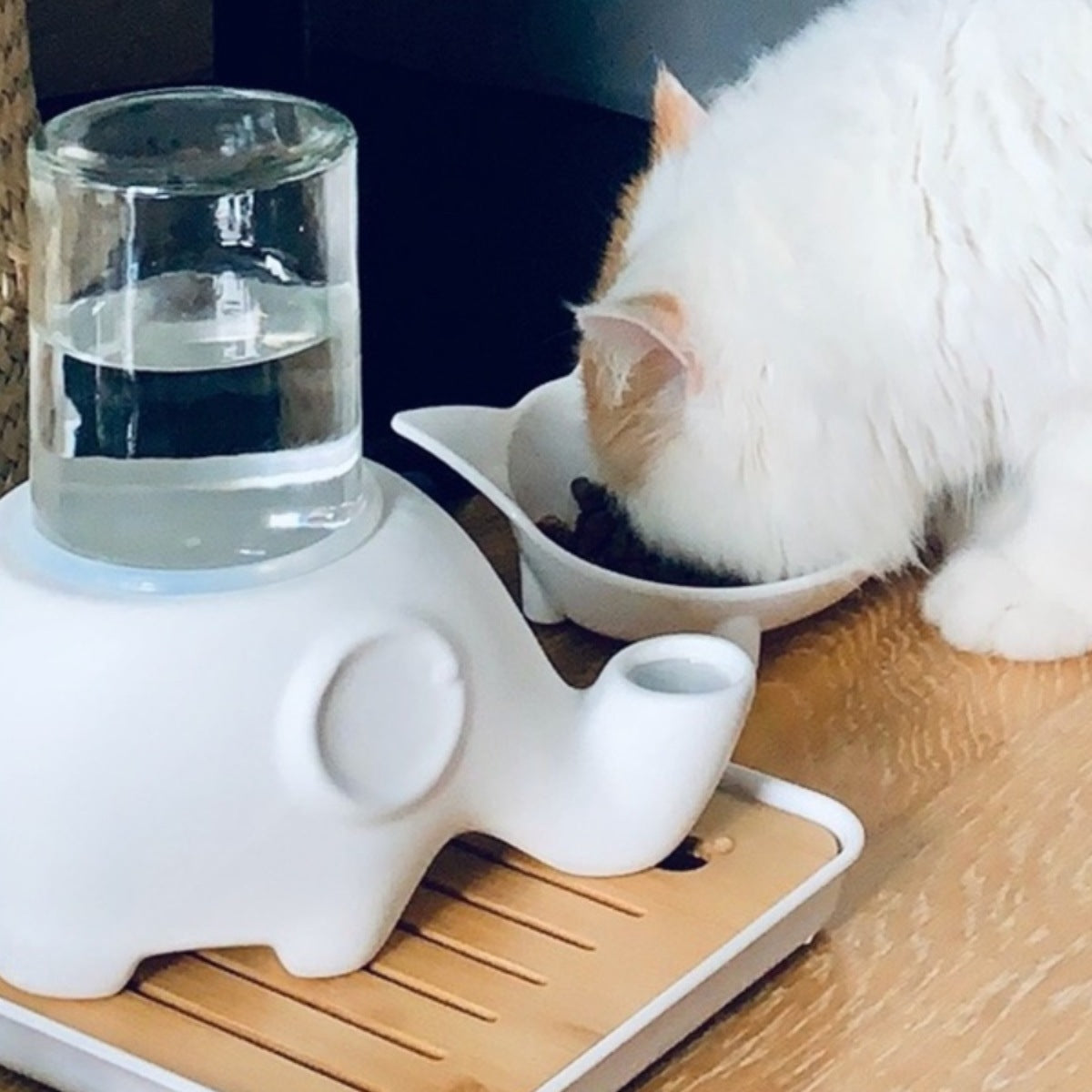 Automatic drinking fountain