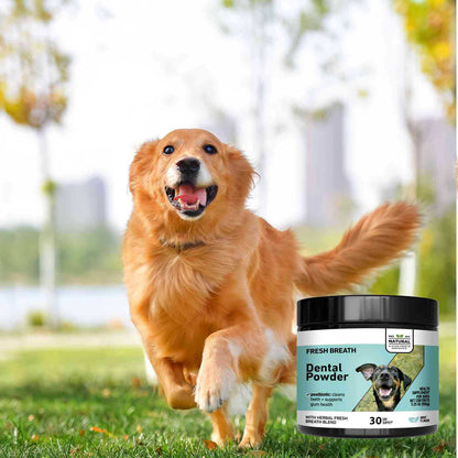 Pet tooth cleaning powder