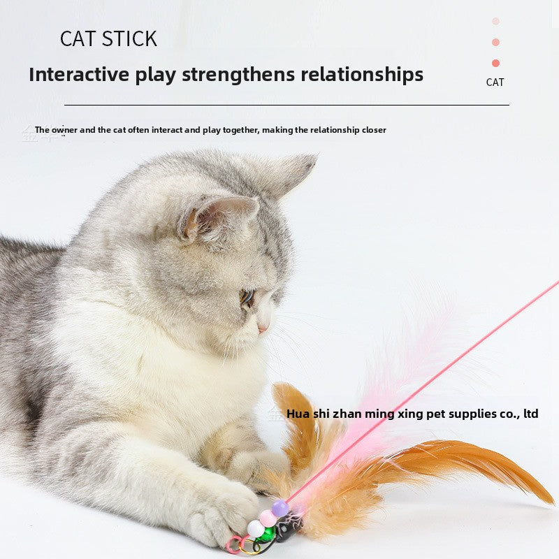 Cat toy teaser wand