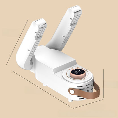 Intelligent shoe dryer