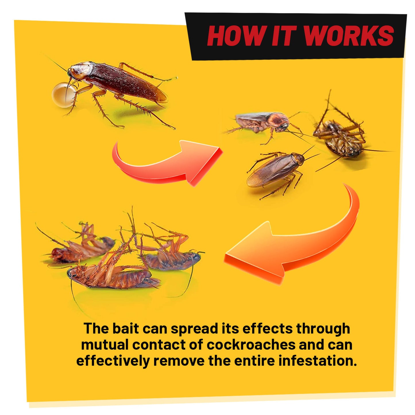 Cockroach Elimination Gel Bait Syringe
