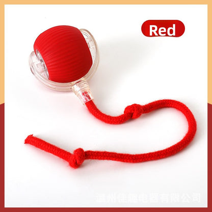 pet toy ball