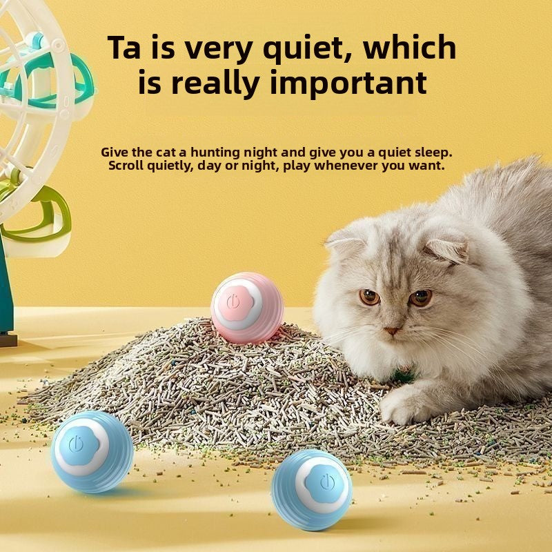 pet toy ball