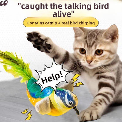 Pet Sound Toy