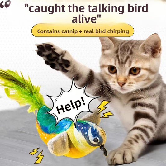 Pet Sound Toy