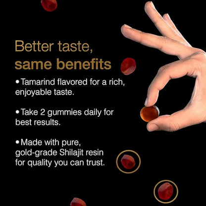 Organic Saffron Shilajit Honey Sticks