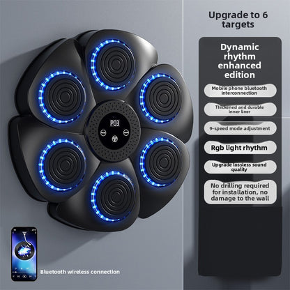 Exercise and fitness boxing training equipment