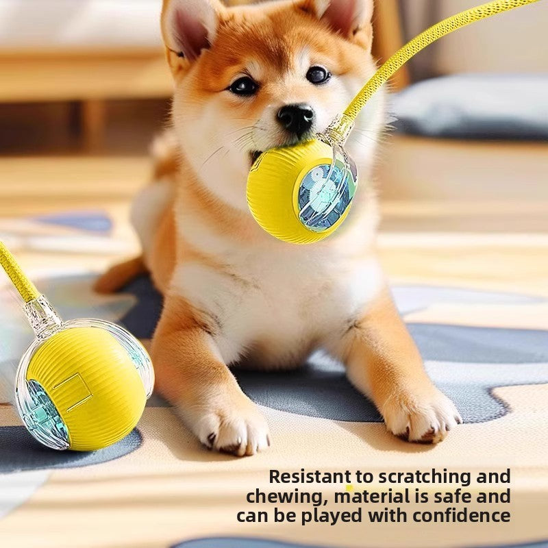 Electric pet toy
