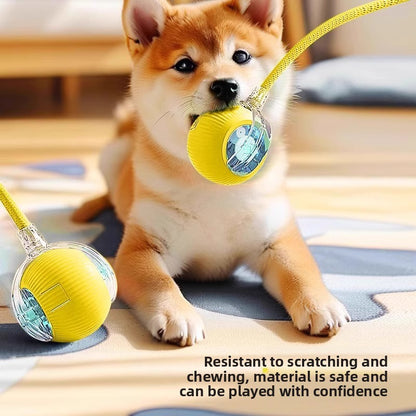 Electric pet toy
