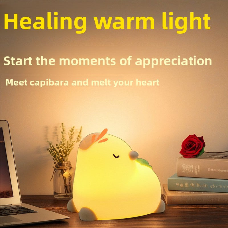 LED night light