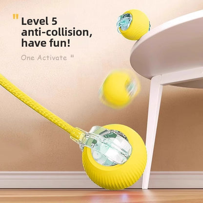 Electric pet toy