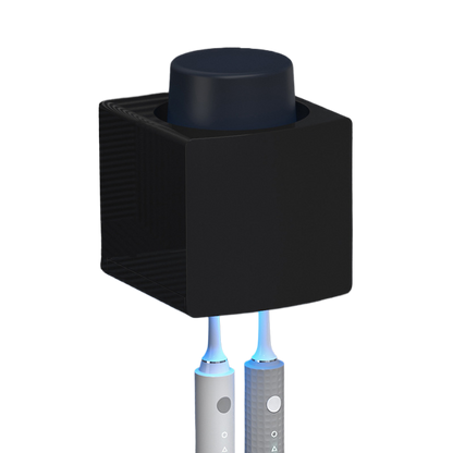 Toothbrush sterilizer