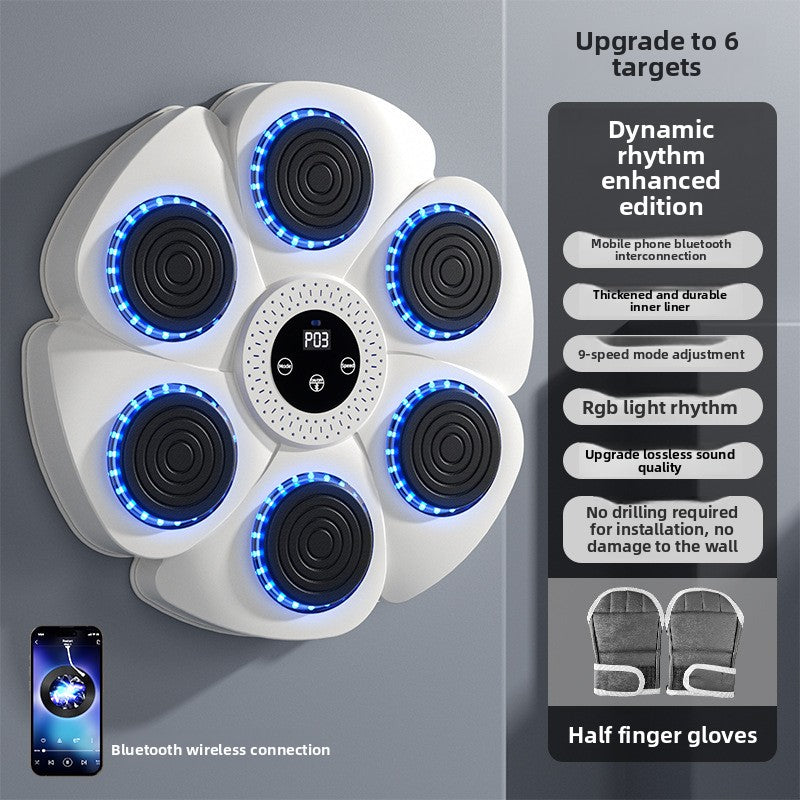 Exercise and fitness boxing training equipment