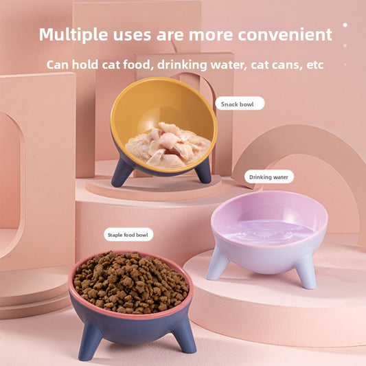 Pet Feeding Bowl