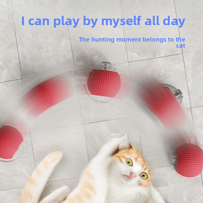 pet toy ball