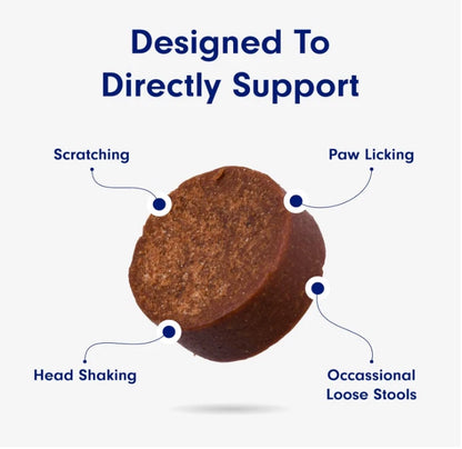 PetLab Co. Probiotics for Dogs, Support Gut Health, Occasional Diarrhea, Digestive Health & Seasonal Allergies - Pork Flavor - 30 Soft Chews - Packaging May Vary